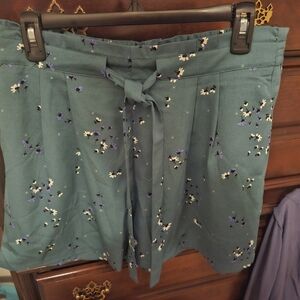 Green Teal Women's Dressy Shorts